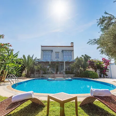 Lale ألاتشاتي