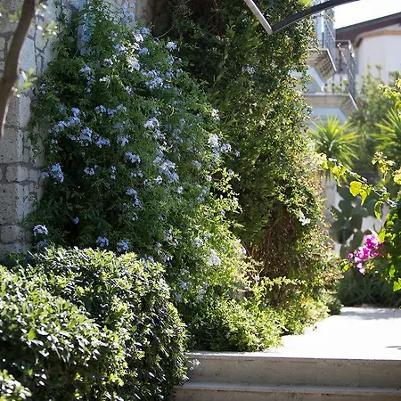 Lale Alaçatı
