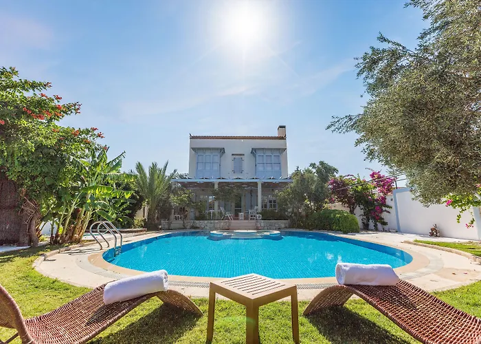 Lale アラカティ