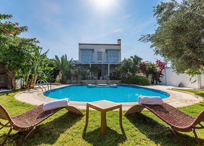 Lale アラカティ