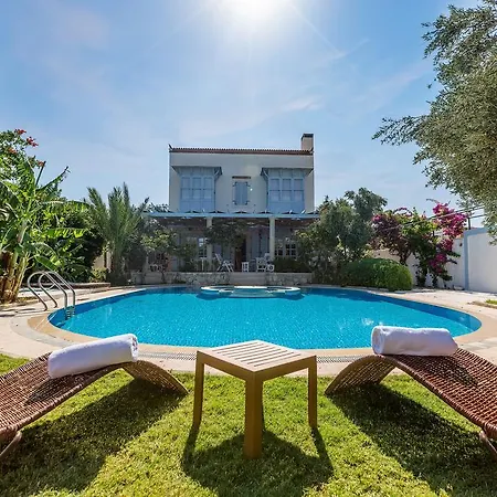 Lale Αλακάτι